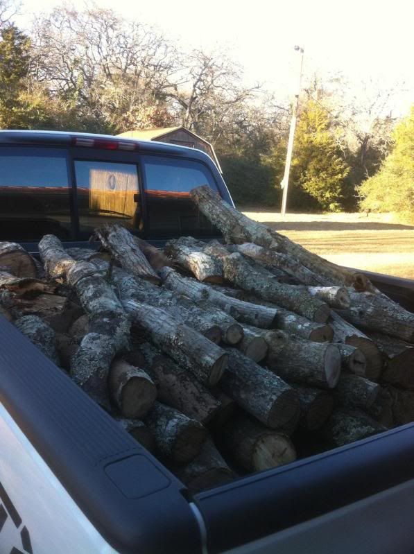 [Hearth.com] What I've done the past couple of days- Free wood!  Pics!