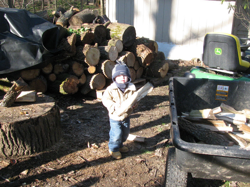 Young wood cutter