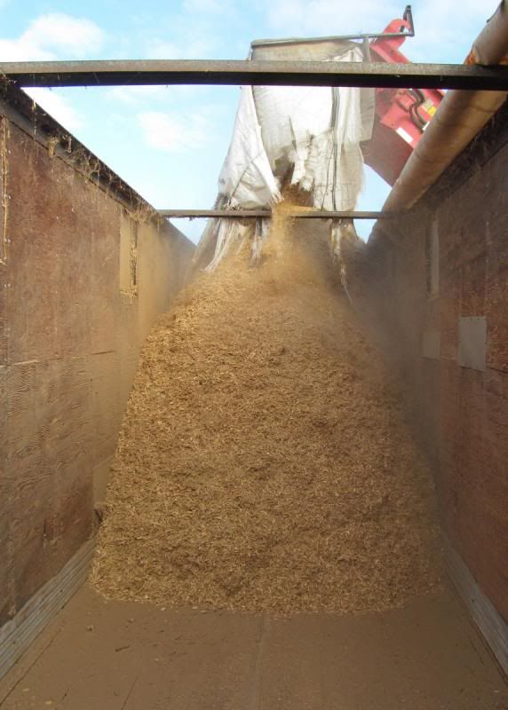 [Hearth.com] Chopping fire wood for boiler.
