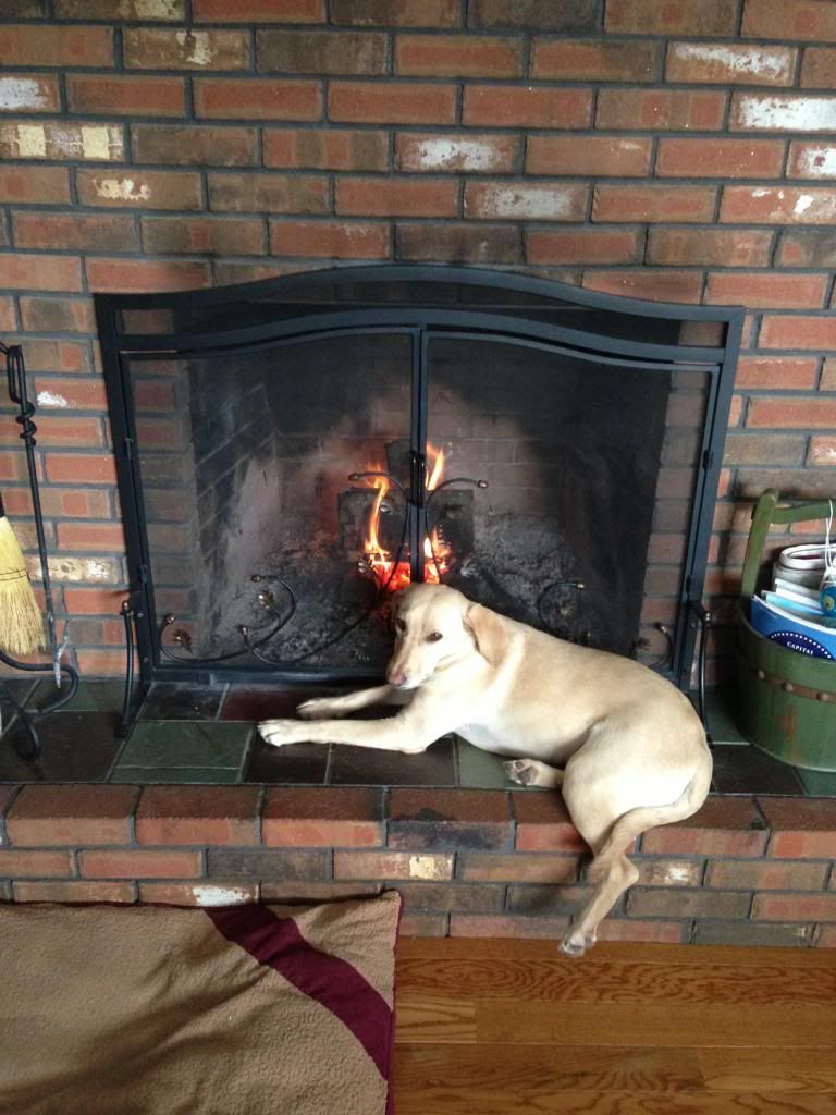 [Hearth.com] Help Selecting A Quality Stove