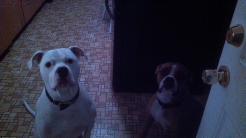 [Hearth.com] pet picture thread