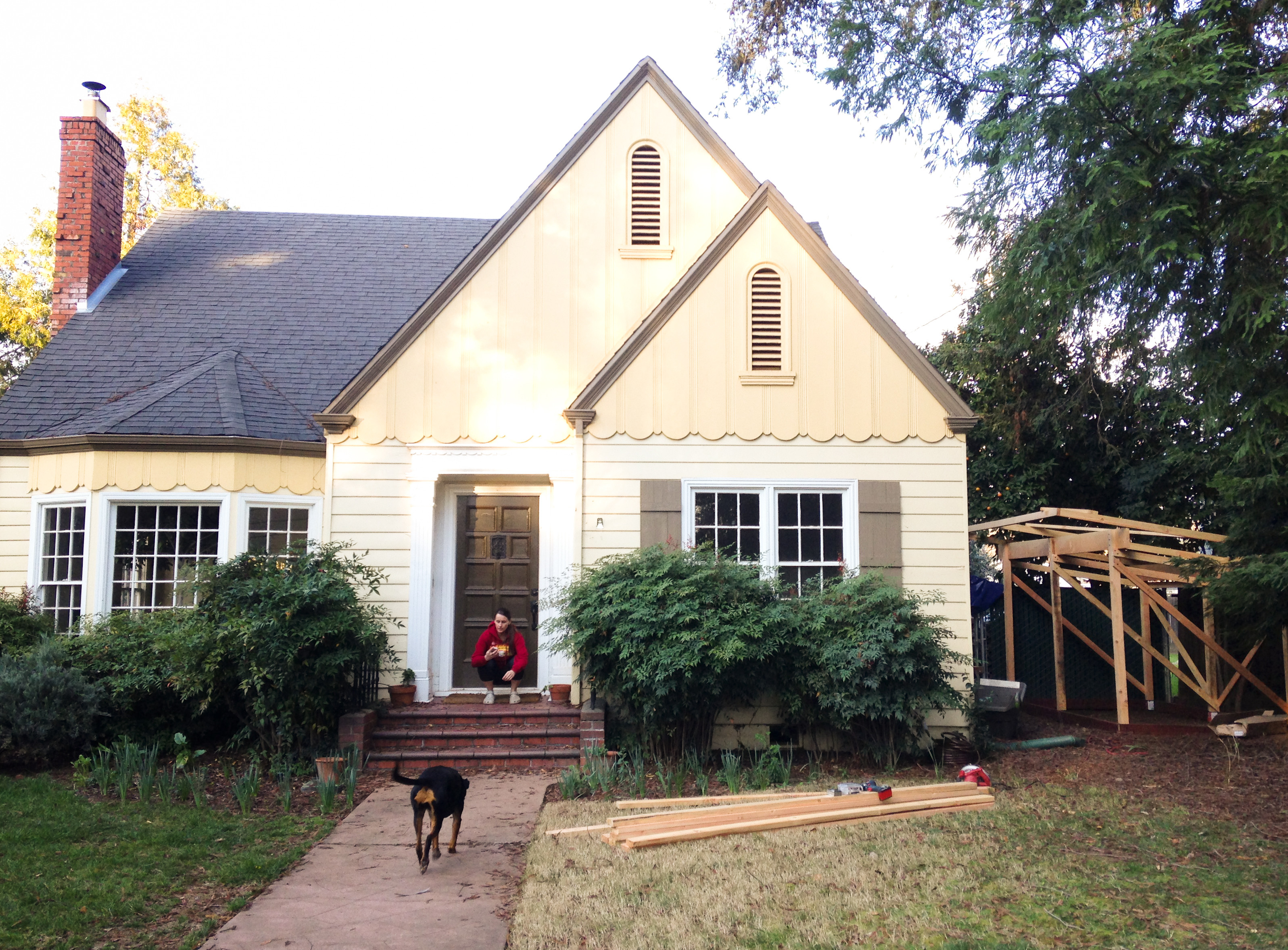 Build thread: My first wood shed.