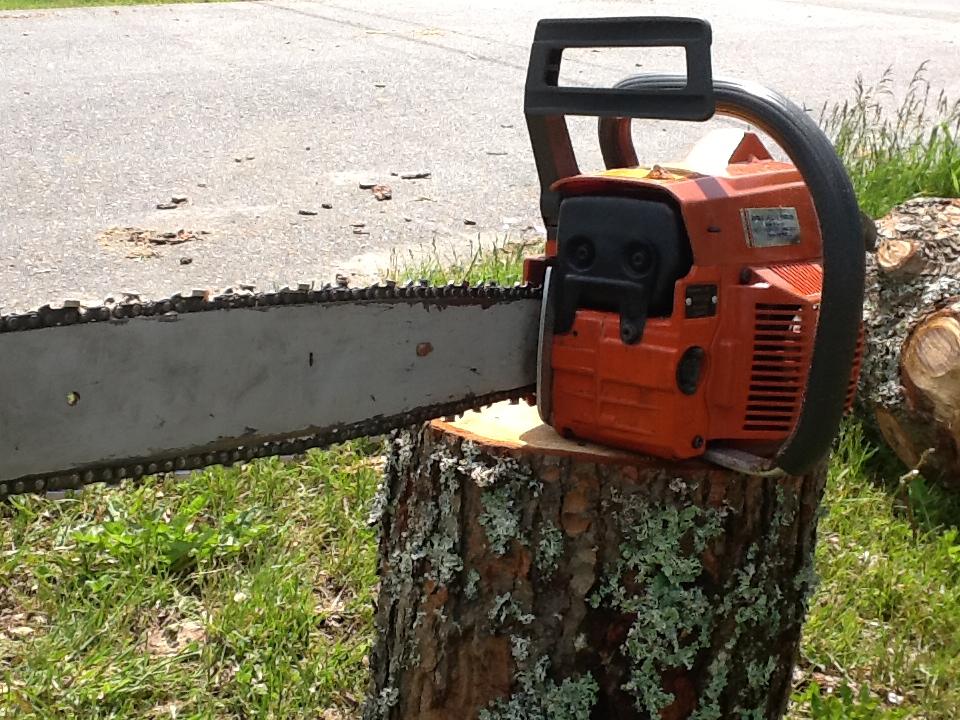 Let's see some chainsaw pics