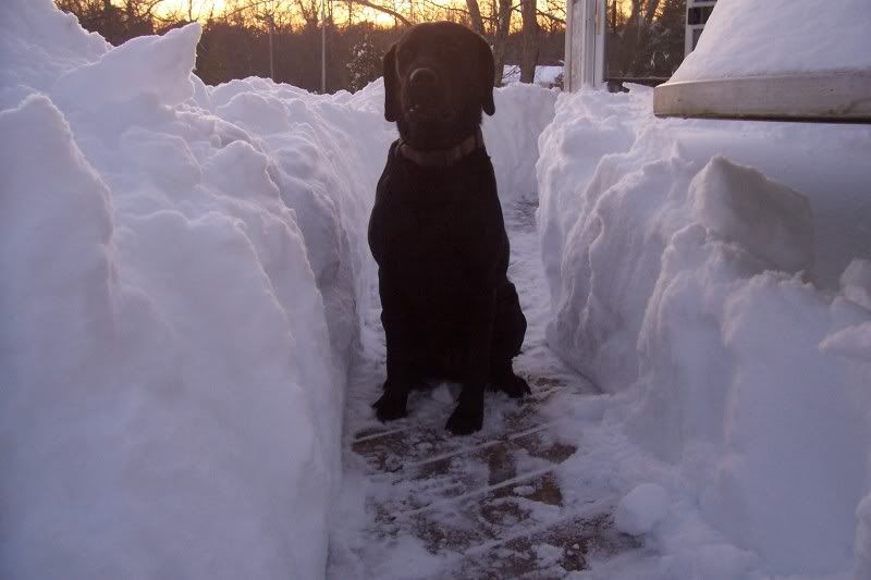 [Hearth.com] Speaking of snowstorm - show us a pic of some of the worst!