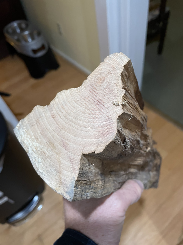 [Hearth.com] Know your end grain? Wood ID please