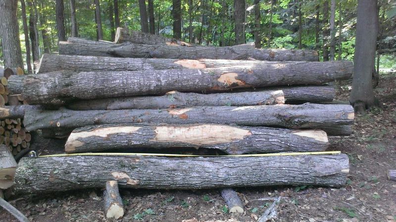 Working with an arborist?  Getting firewood?