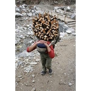 [Hearth.com] Never Ending Search for a Log Hauler