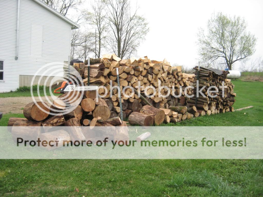 Adding to the wood pile!!! (Pics)