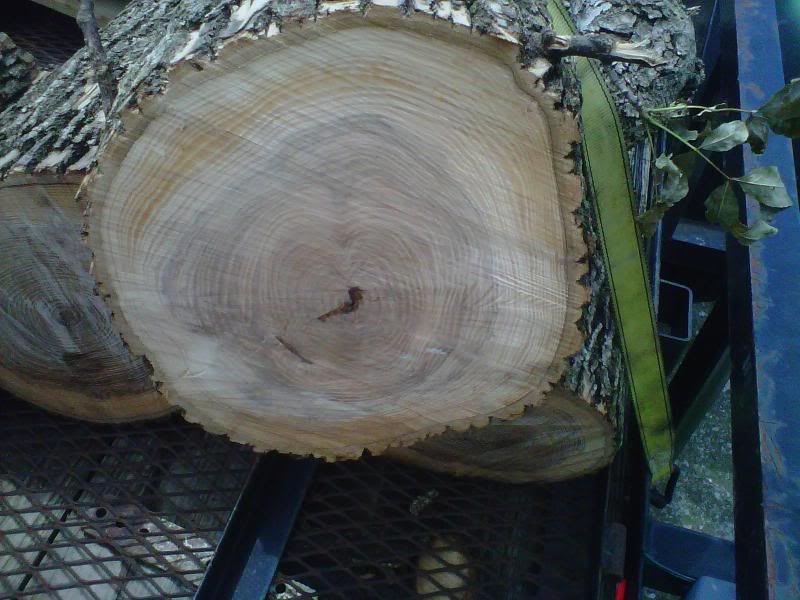 [Hearth.com] Ash or Bitternut Hickory?