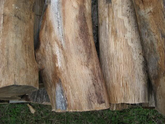[Hearth.com] Wood ID...old wood from clearcut