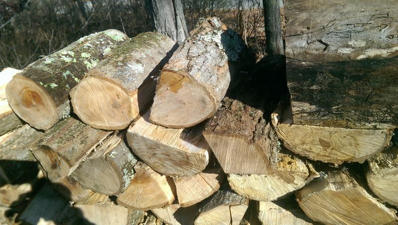 [Hearth.com] Is this maple?