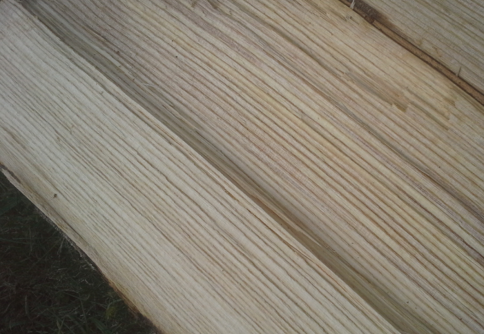 [Hearth.com] Wood ID