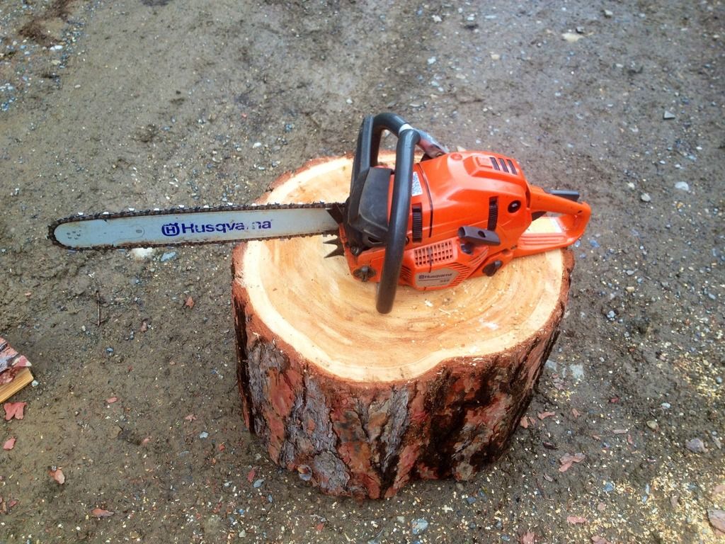 [Hearth.com] Little adventure up in 'Larch' land.