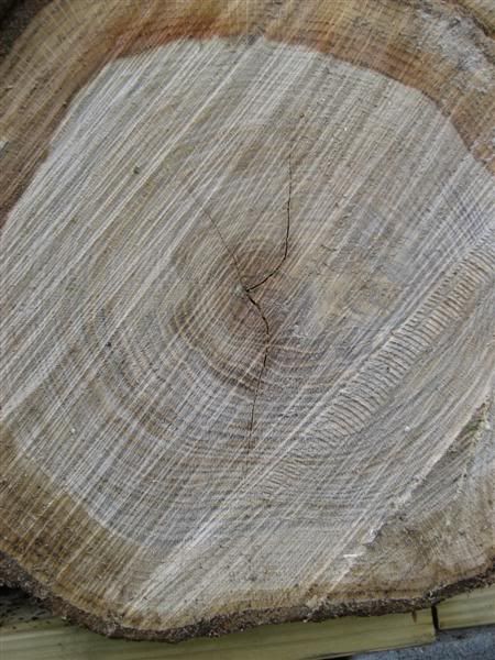 [Hearth.com] Wood ID...old wood from clearcut