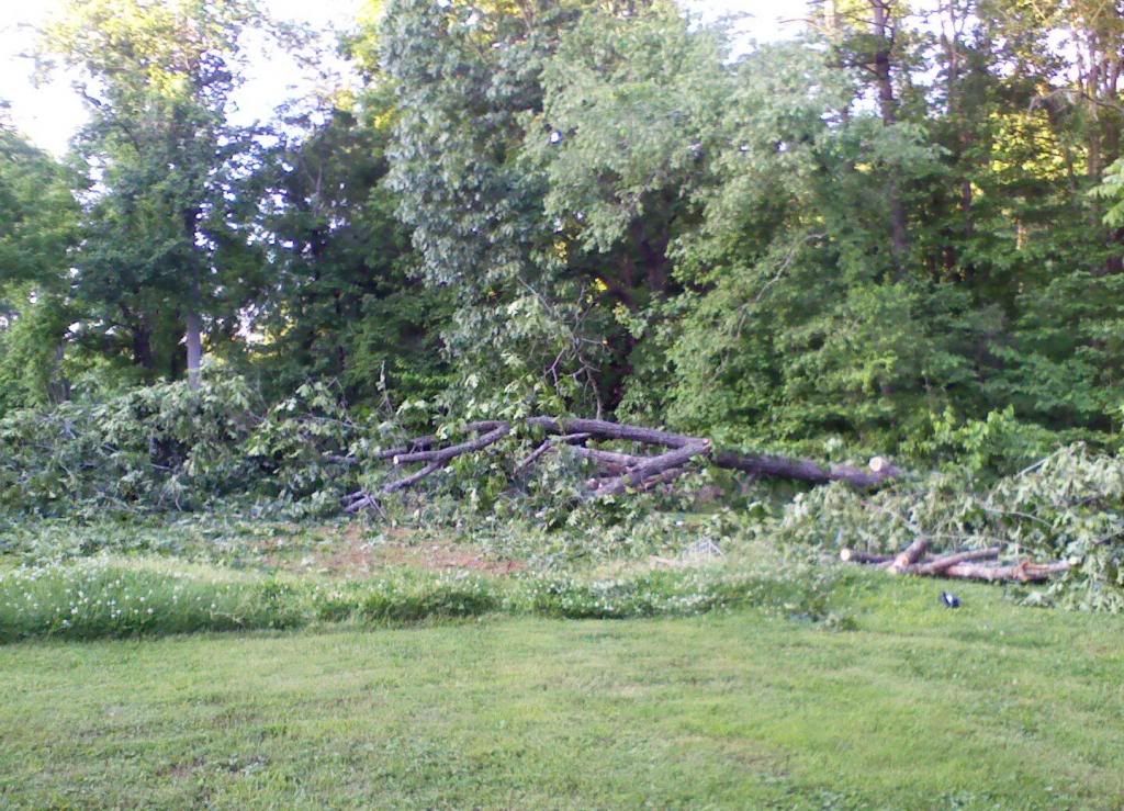 [Hearth.com] black oak down