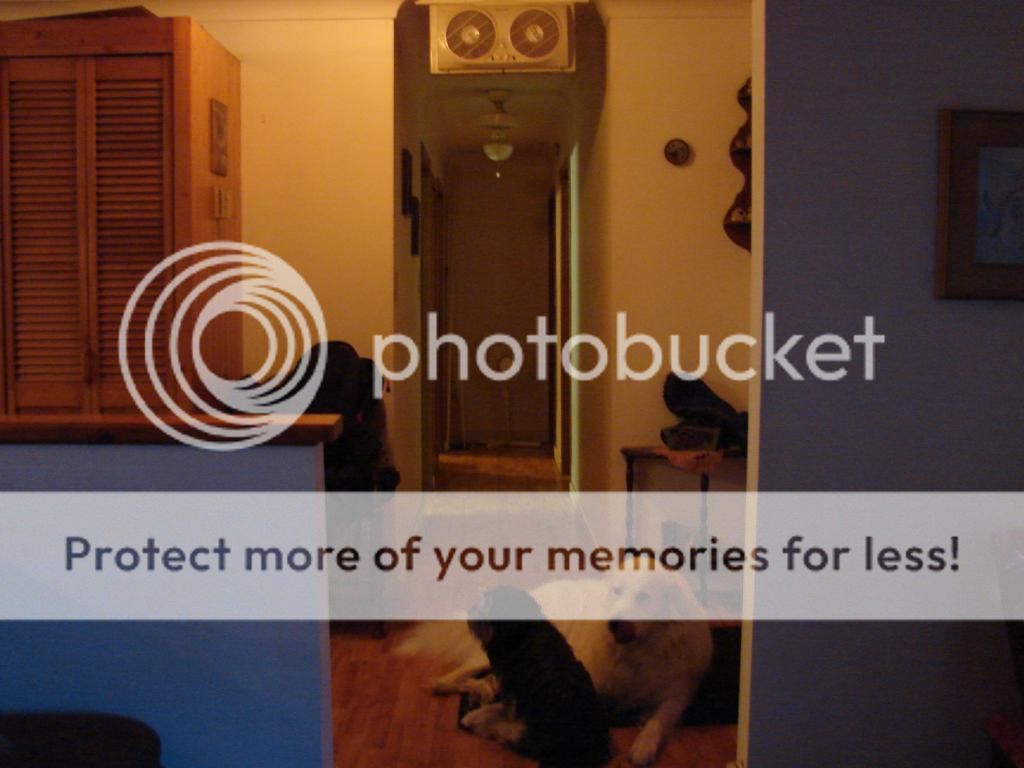 [Hearth.com] how do you move the heat around ur house