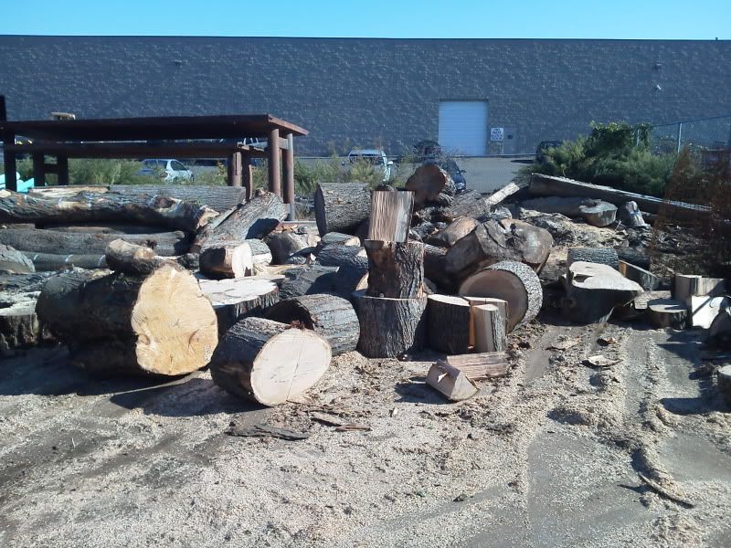 [Hearth.com] Yet another load of mostly large oak and some maple!