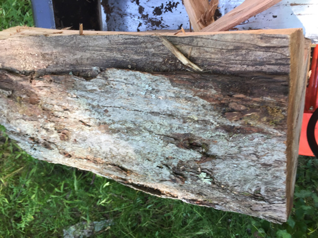 [Hearth.com] Wood ID - it has Birdseye , so maple?