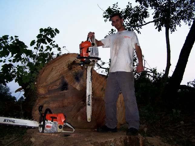 [Hearth.com] Which Stihl for my dad?