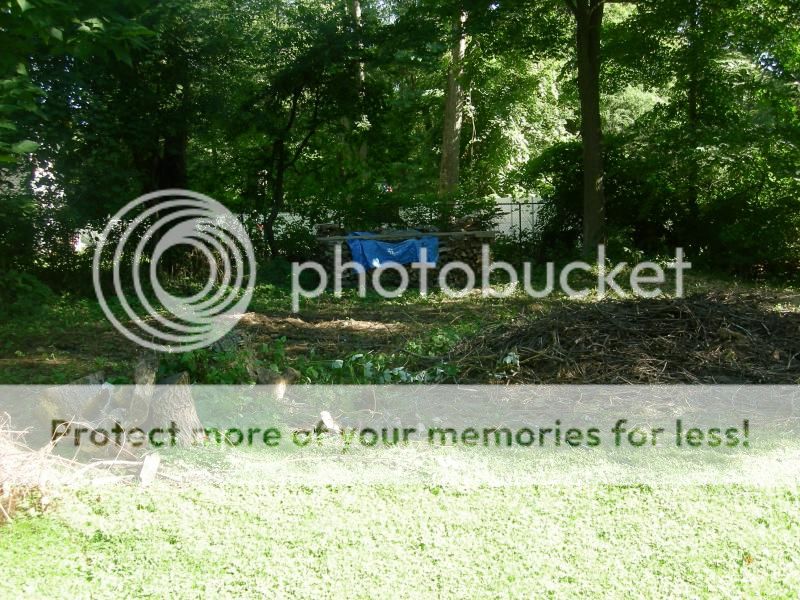 [Hearth.com] You can't fix stupid...and I can't be fixed