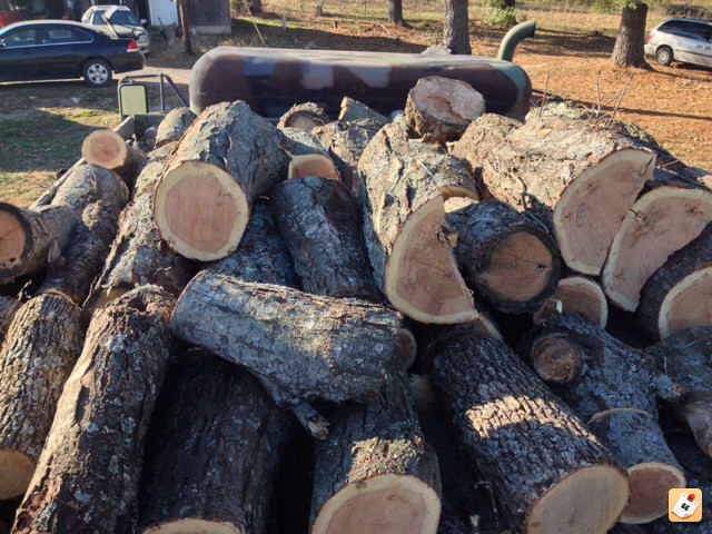 First load of black locust!