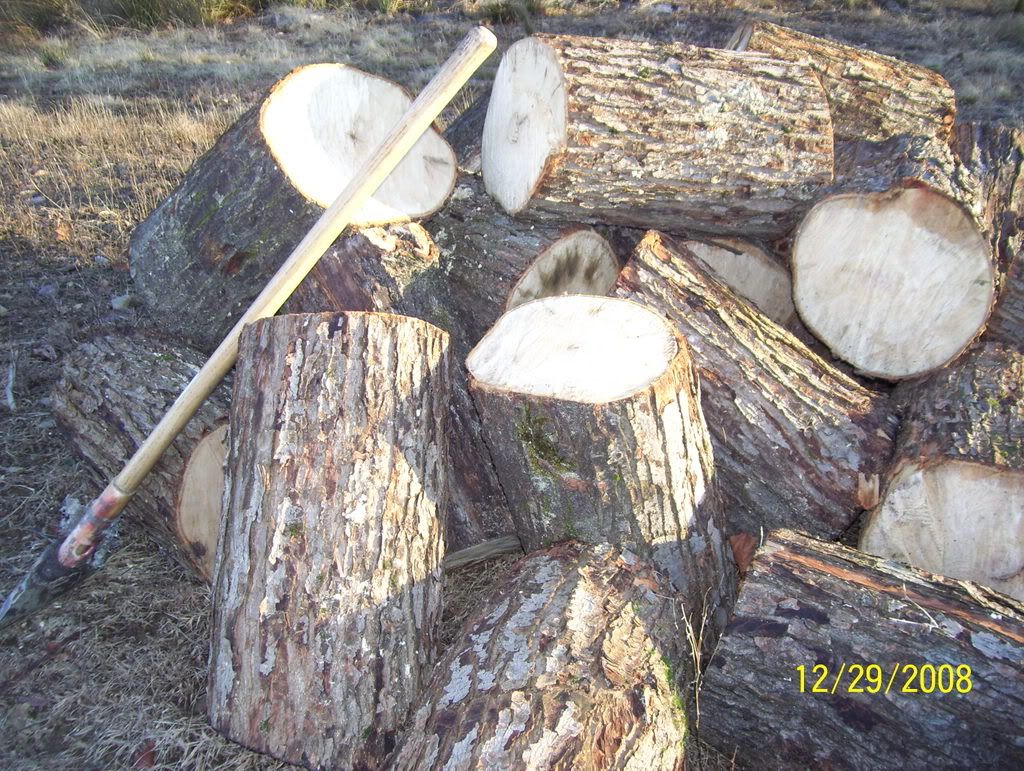 [Hearth.com] Yesterdays haul - Do I know my wood?