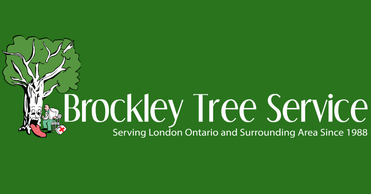brockleytree.com
