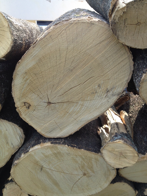 [Hearth.com] Help with a wood ID!!