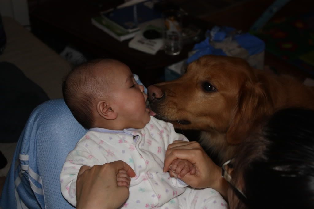 [Hearth.com] Talk to me about dogs...
