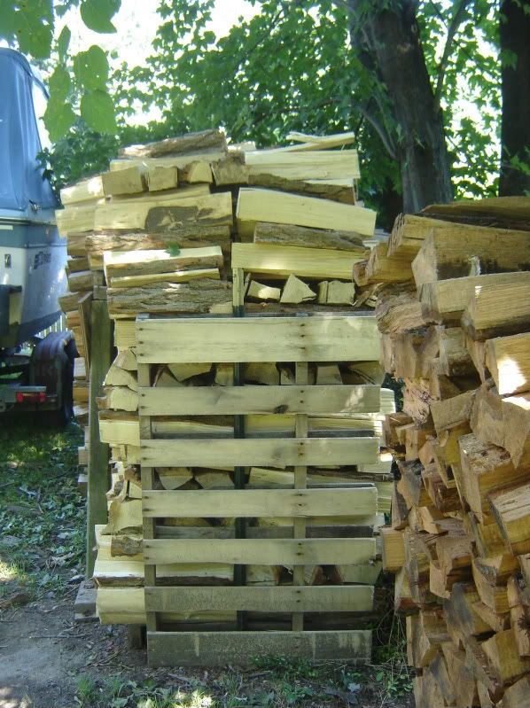 [Hearth.com] Irene droppings