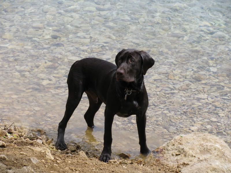 [Hearth.com] Afternoon hike and a swim