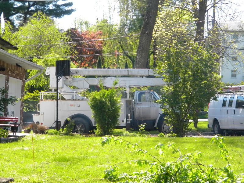 [Hearth.com] Got cut down an up tree!