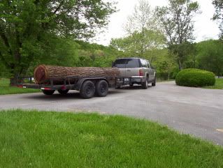 Selling Black Walnut Logs