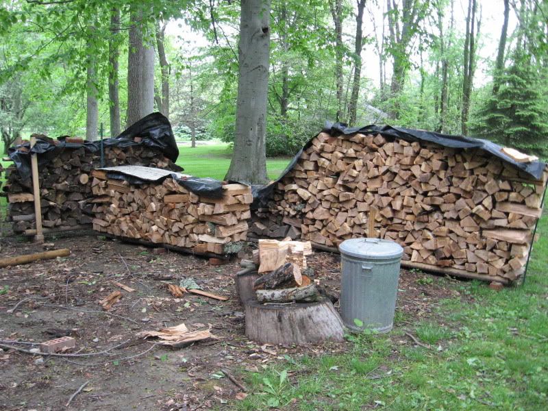 [Hearth.com] Got started on the Ash tree  Pics added
