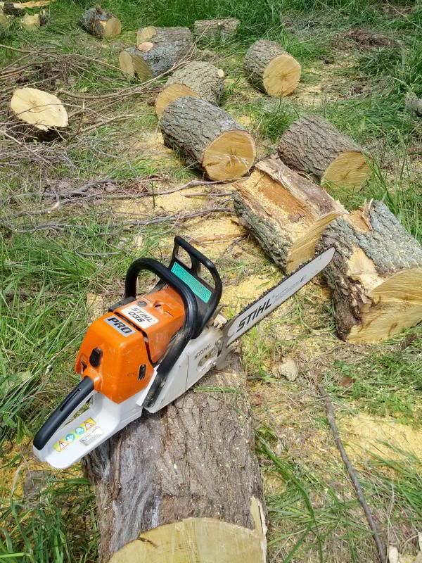 [Hearth.com] My first wood ID post ....