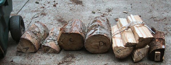 [Hearth.com] Drying Experiment -- Wood Weight Over Time