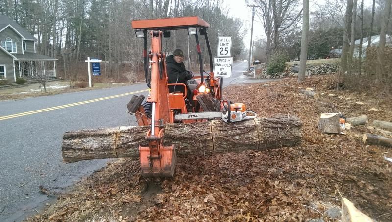 Dug wood out of the snow piles