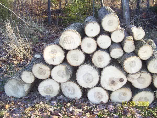 [Hearth.com] Yesterdays haul - Do I know my wood?