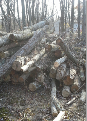 [Hearth.com] Working My Pile