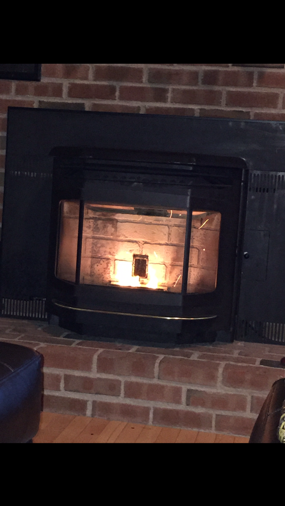 [Hearth.com] Low flame Astoria bay insert.