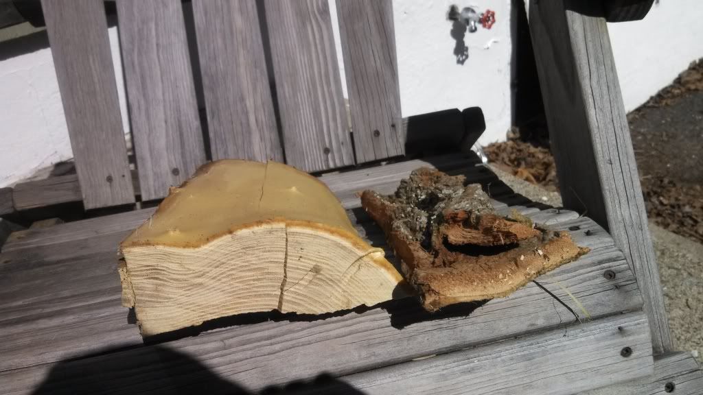 [Hearth.com] Wood ID please