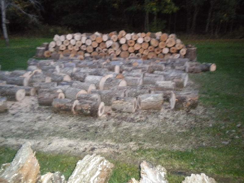 [Hearth.com] Finished the cutting