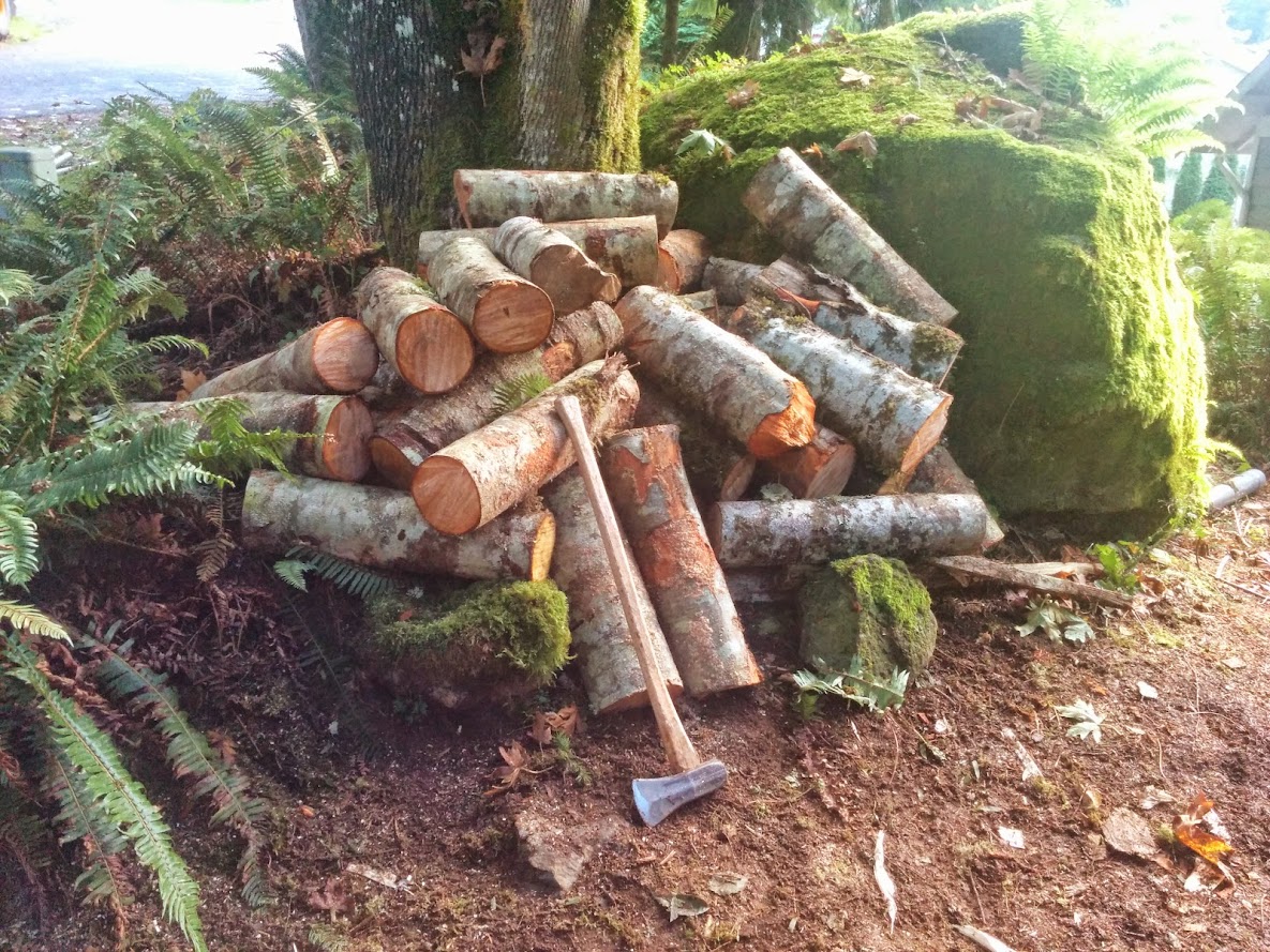 spent the day chopping wood. can you guess which half of the wood shed has fresh wood,