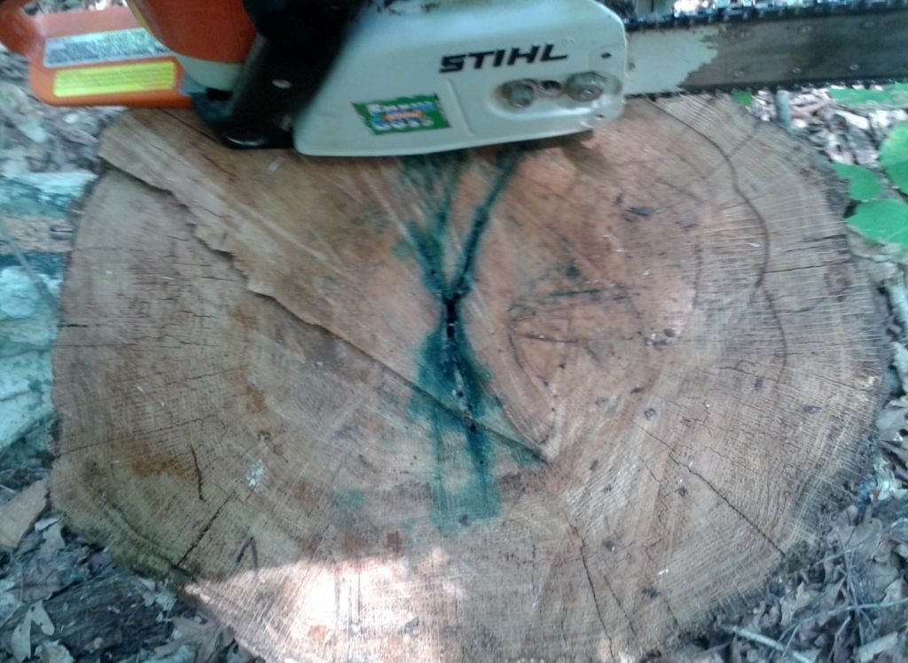 [Hearth.com] Red Oak, Blue Fungus?