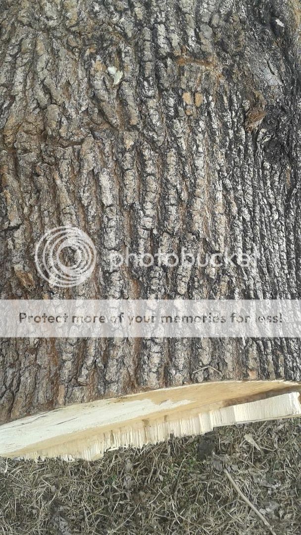 [Hearth.com] Need help with a wood ID