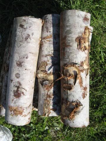 [Hearth.com] Intheswamp's wood "getting"....it's getting too hot to get wood!!!