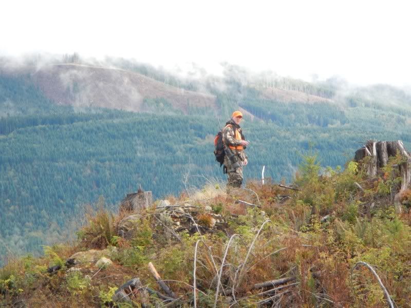 blacktail hunting weather