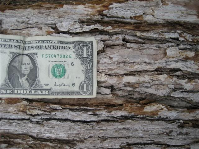 [Hearth.com] Wood ID...old wood from clearcut