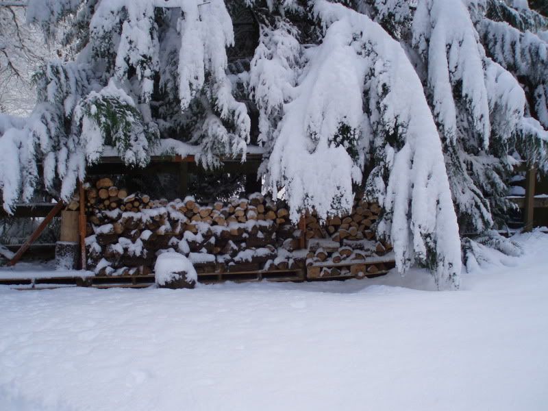 snowy stacks