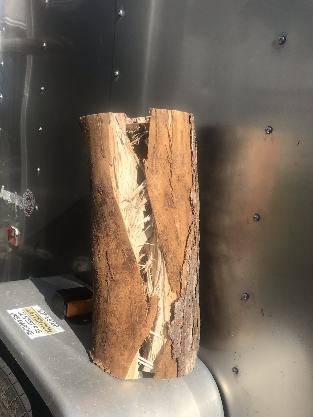 [Hearth.com] This is why I don't split green elm in the summer